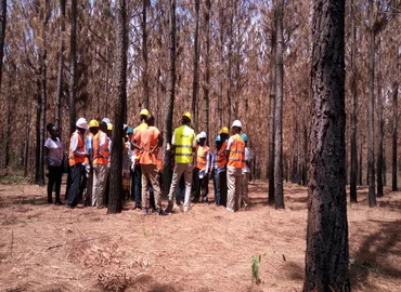 MoU with Nyabyeya Forestry College