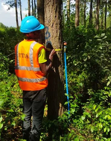 Understanding Plantation Valuation